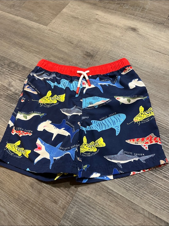 Mini Boden Other - Mini Boden shark swim trunks size 6-7
